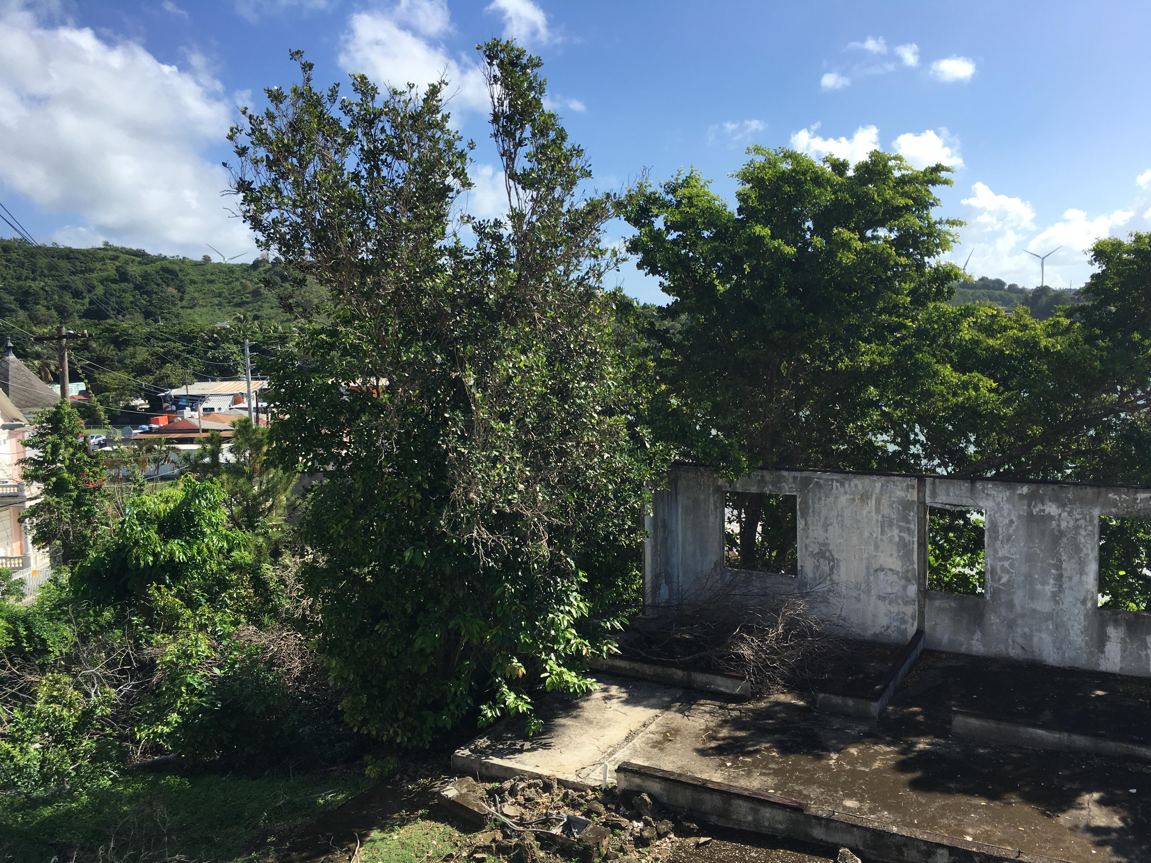 Castillo Villa del Mar - Naguabo - 2015 00107